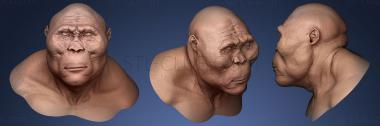 3D model Nutcracker Man (STL)